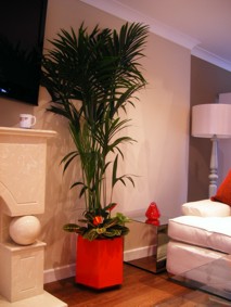 hotel lounge plants